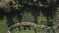 Sola Bestekset Bali - Modern - 9 Persoons - 90 Delig - Zilverwit Edelstaal 18/10 - RVS - Zilver -Keukengerei Winkel 1200x675 11