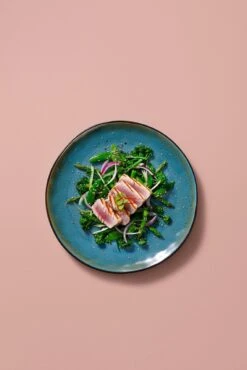 Palmer Serviesset Lotus Stoneware 6-persoons 24-delig Zwart Turquoise 25 Palmer Serviesset Lotus Stoneware 6-persoons 24-delig Zwart Turquoise -Keukengerei Winkel 801x1200 4